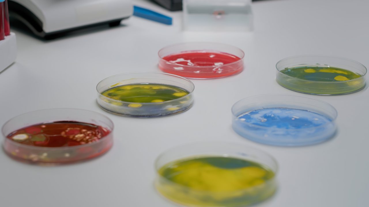 close-up-of-laboratory-petri-dish-with-biological-2021-09-04-03-06-53-utc-1-1280x720.jpg